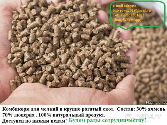 Cattle feed