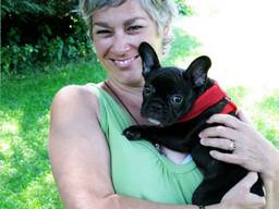 French bulldog puppies for sale