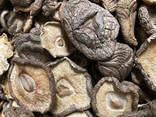 Hot Sale Log White Flower Mushroom / Dry Shiitake /hot Sale Dried Mushroom - photo 3