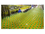 Organic Refined Hydrogenated Sunflower Oil Top Grade Edible Cooking - photo 1