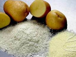 Potato starch, made in Belarus.