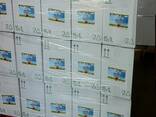 Refined Sunflower oil and Corn oil - photo 5