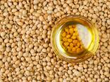 Soybean oil - photo 1